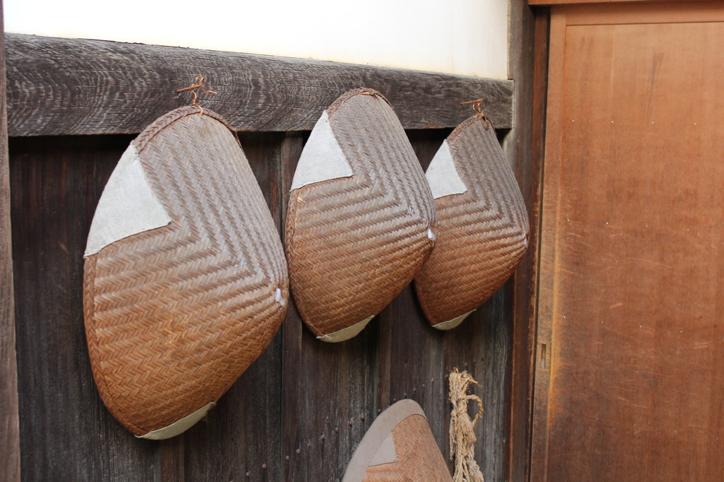 妙心寺　退蔵院庭園1　IMG_0770