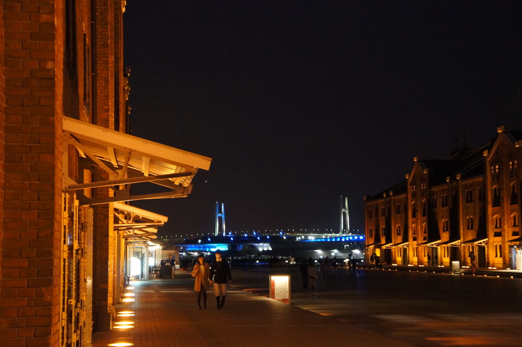 横浜夜景2DSC00140