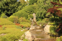 妙心寺　退蔵院庭園22IMG_0804