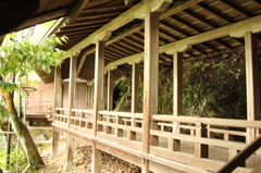 永観堂禅林寺　18　IMG_1088