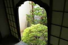 妙心寺　桂春院庭園24IMG_0893