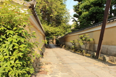 妙心寺20IMG_0838