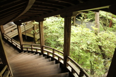 永観堂禅林寺　19　IMG_1092