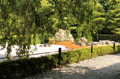 妙心寺　退蔵院庭園16IMG_0791