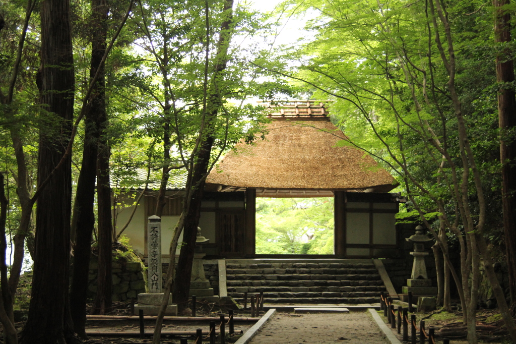 法然寺　1　IMG_0979
