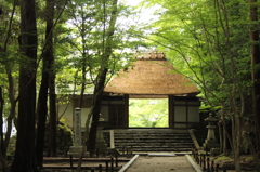 法然寺　1　IMG_0979