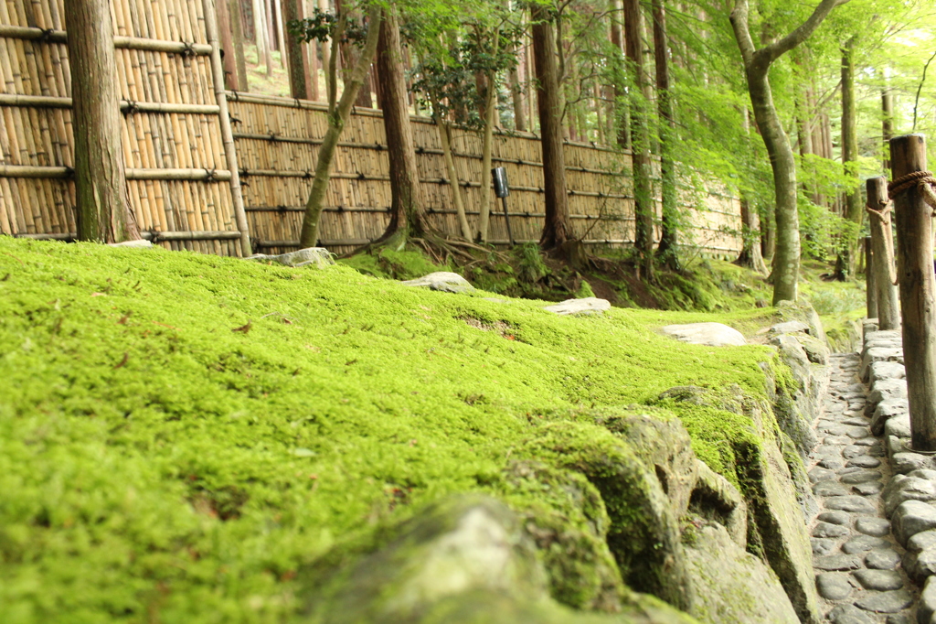 銀閣寺4IMG_0946