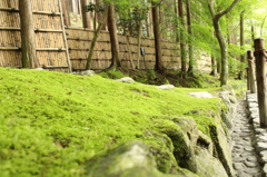 銀閣寺4IMG_0946