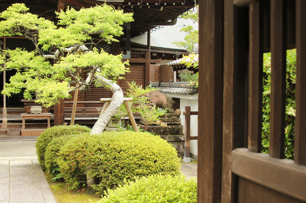 南禅寺　2　IMG_1147
