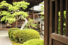 南禅寺　2　IMG_1147