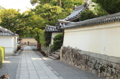 妙心寺11IMG_0828