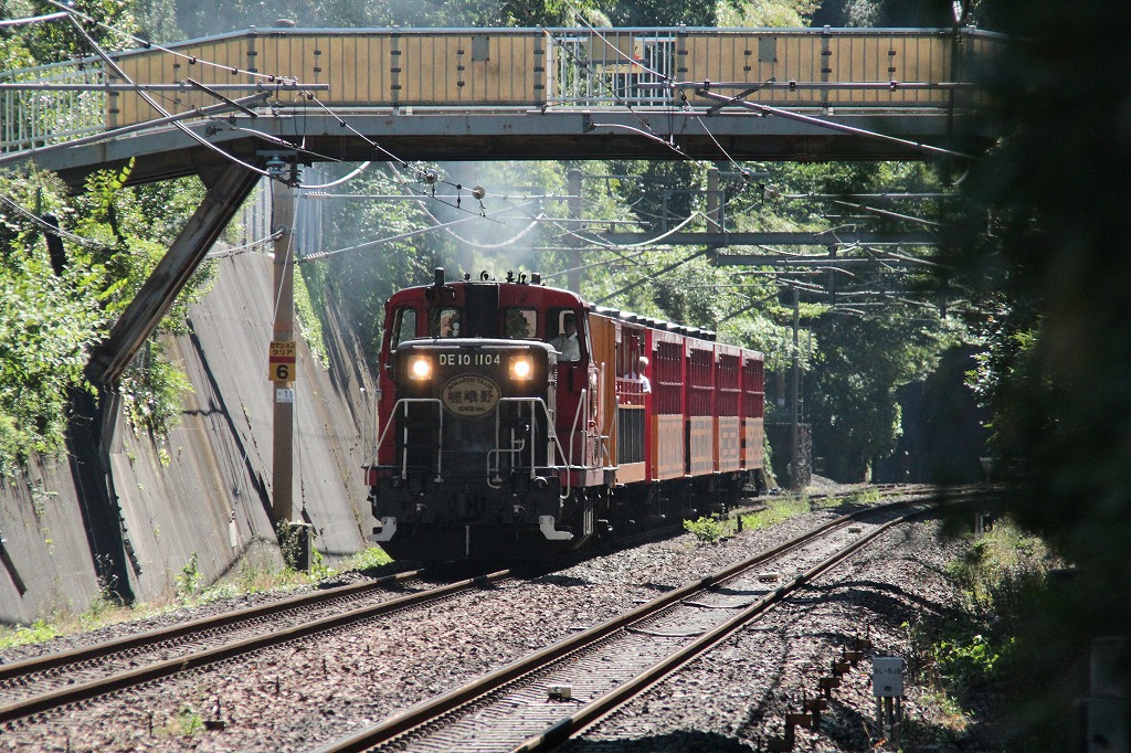 トロッコ列車2IMG_0450