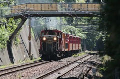 トロッコ列車2IMG_0450