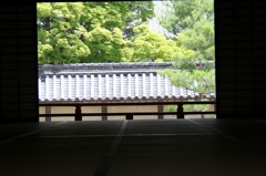 天竜寺庭園6IMG_0318