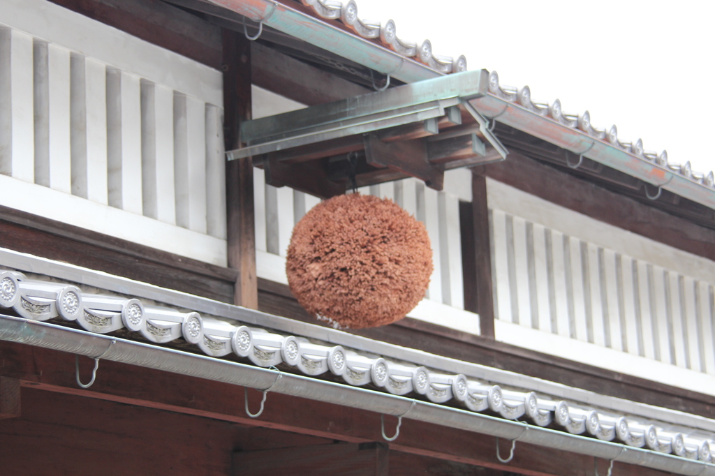 伏見酒蔵2　IMG_1360