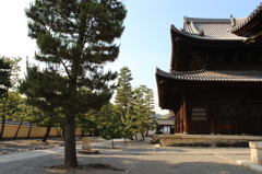 妙心寺8IMG_0824