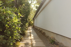 妙心寺　退蔵院庭園13IMG_0787