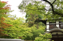 永観堂禅林寺　2　IMG_1033