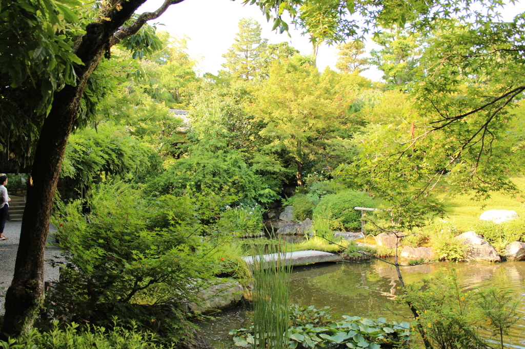 妙心寺　退蔵院庭園24IMG_0806