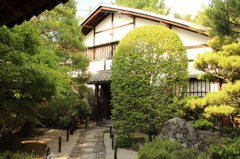 妙心寺　桂春院庭園2IMG_0851