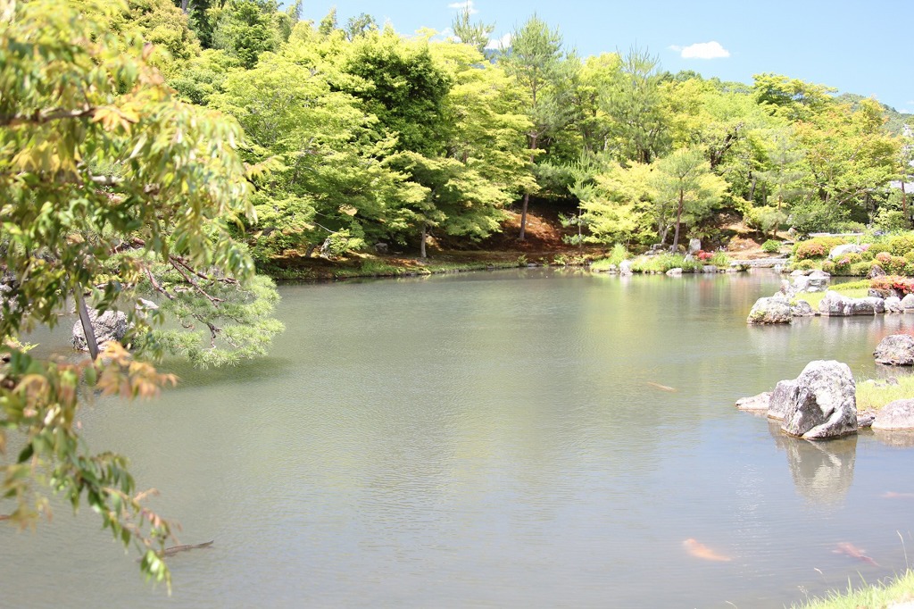 天竜寺庭園2IMG_0314