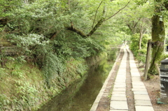 哲学の道　2　IMG_0997