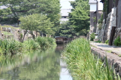 八幡堀2　IMG_1329