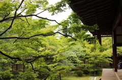 永観堂禅林寺　11　IMG_1065
