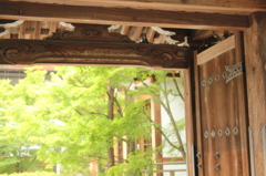 永観堂禅林寺　4　IMG_1039