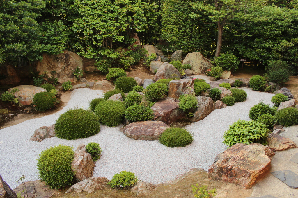 妙心寺　退蔵院庭園5　IMG_0780