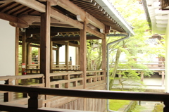 永観堂禅林寺　12　IMG_1066