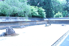 枯山水2IMG_0689