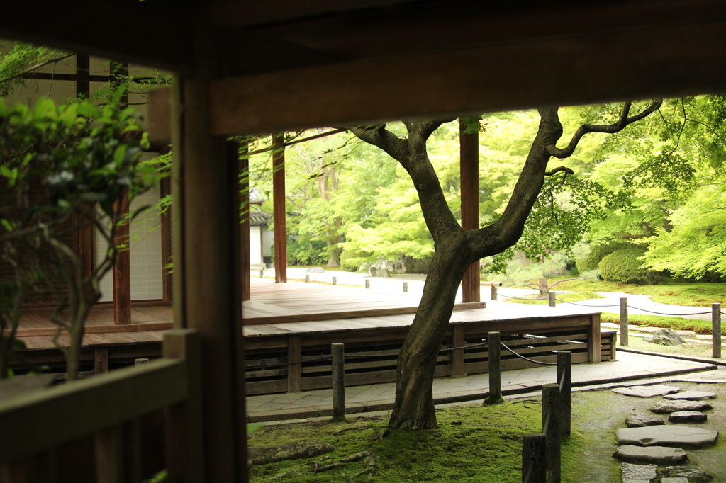 南禅寺　4　IMG_1193