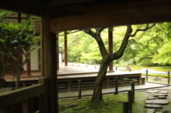 南禅寺　4　IMG_1193