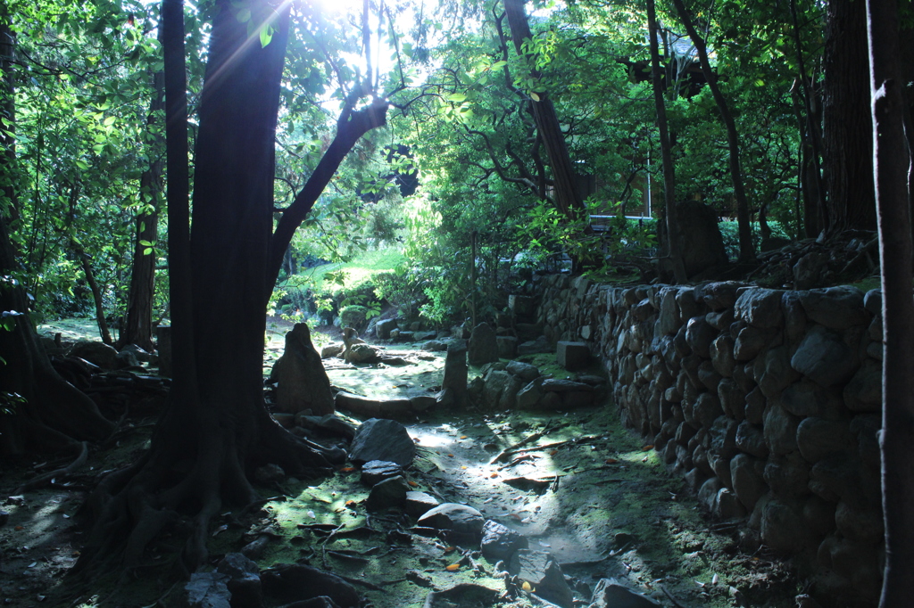 妙心寺　桂春院庭園15IMG_0873