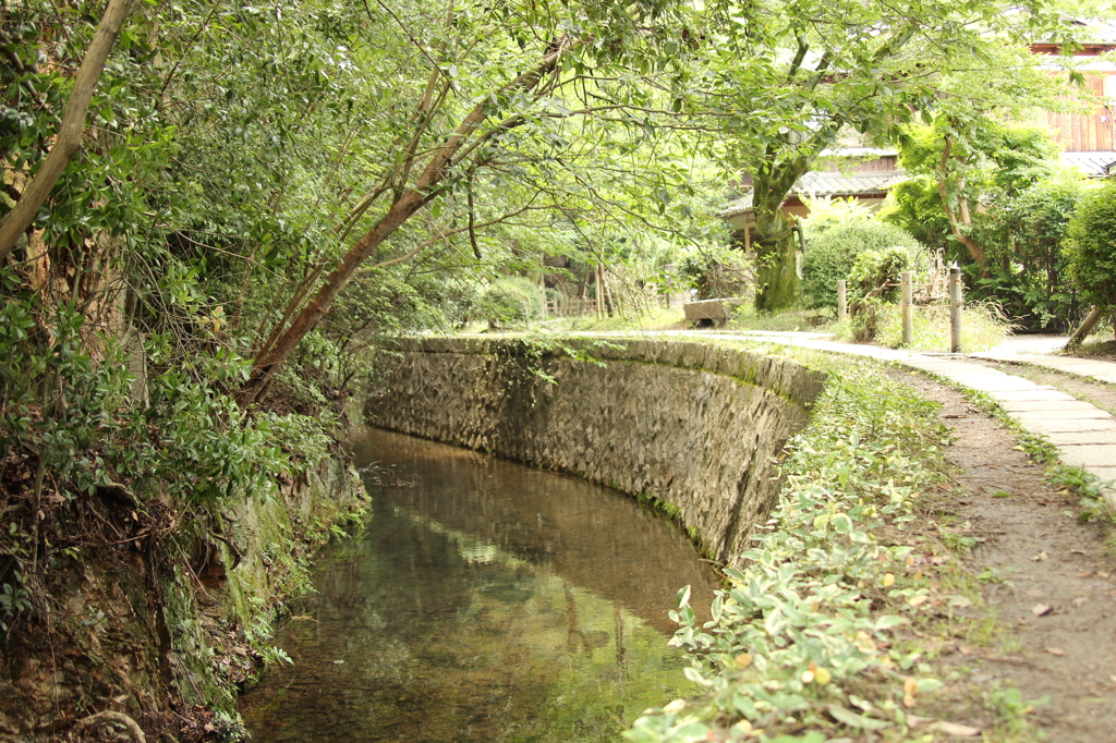 哲学の道　4　IMG_1021