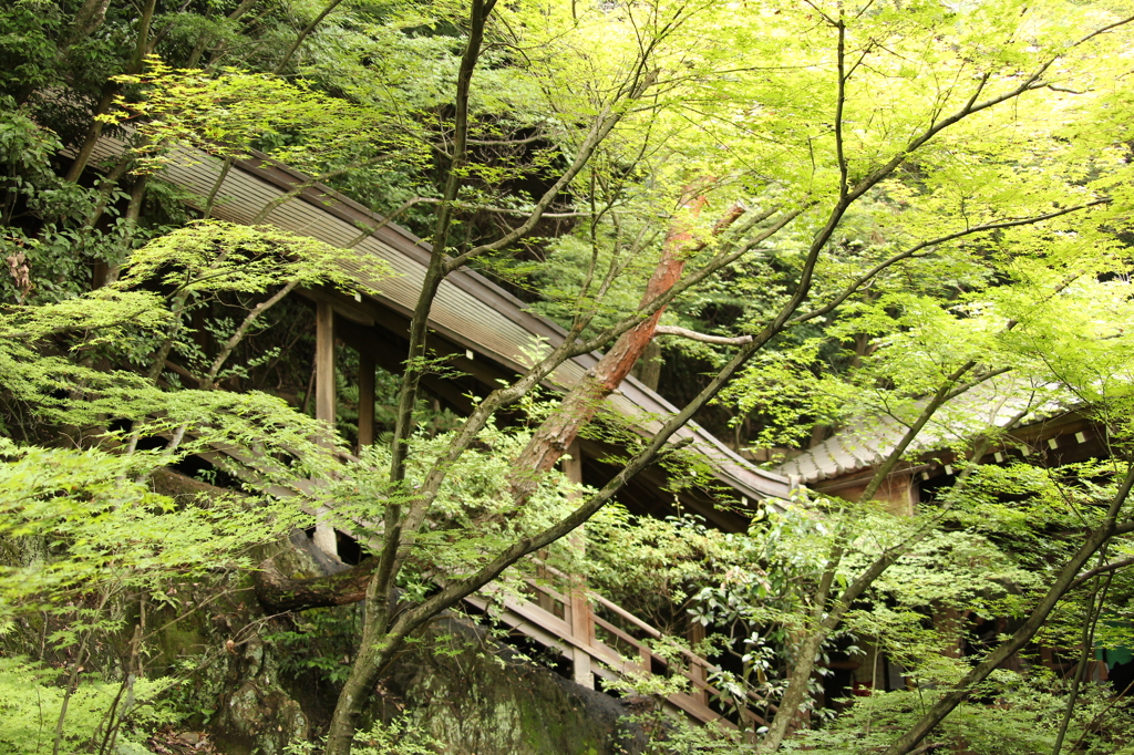 永観堂禅林寺　26　IMG_1095