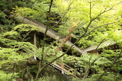 永観堂禅林寺　26　IMG_1095