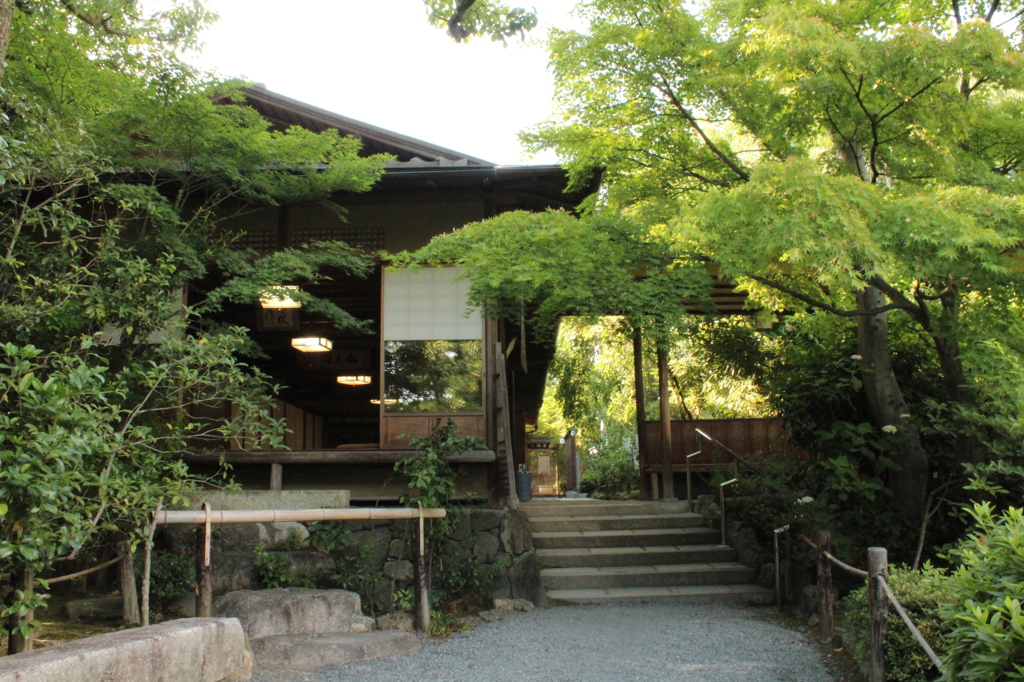 妙心寺　退蔵院庭園26IMG_0810