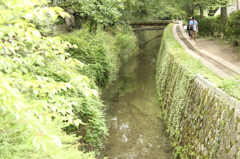 哲学の道　1　IMG_0974