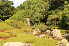 妙心寺　退蔵院庭園27IMG_0811