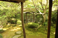 妙心寺　桂春院庭園4IMG_0854