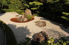妙心寺　退蔵院庭園17IMG_0794