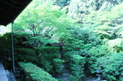 妙心寺　桂春院庭園9IMG_0861