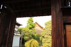妙心寺17IMG_0834