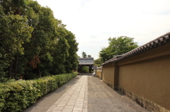 妙心寺2IMG_0753