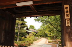 妙心寺3IMG_0754