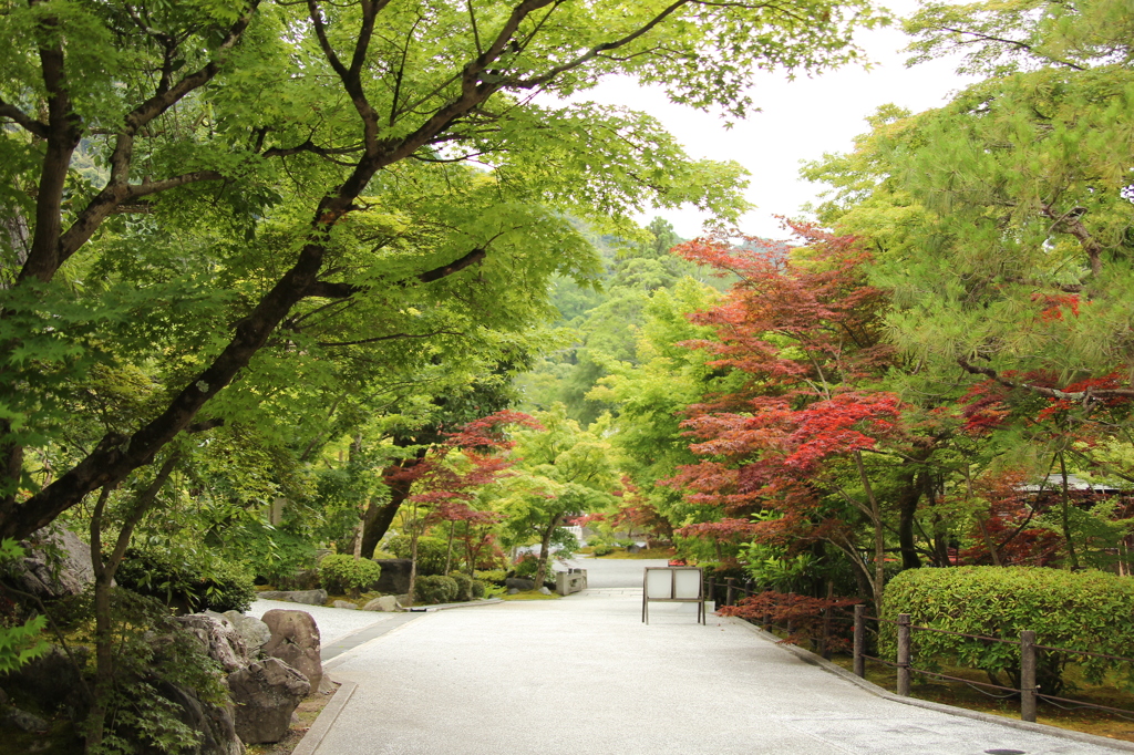 永観堂禅林寺　3　IMG_1035