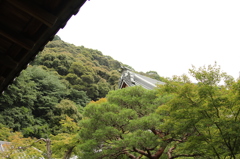 永観堂禅林寺　10　IMG_1064
