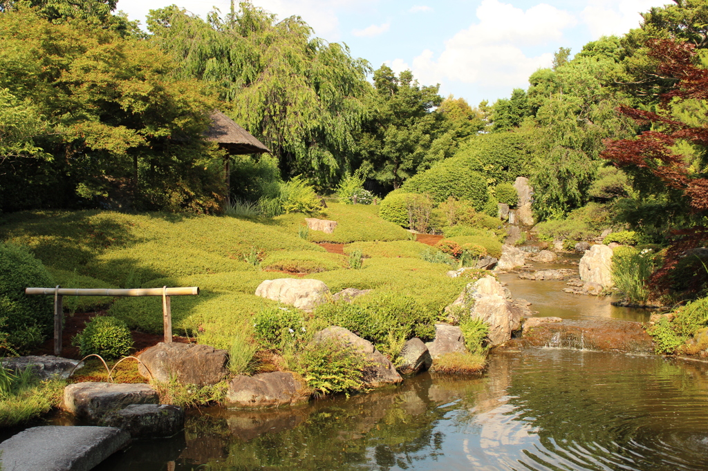 妙心寺　退蔵院庭園23IMG_0805
